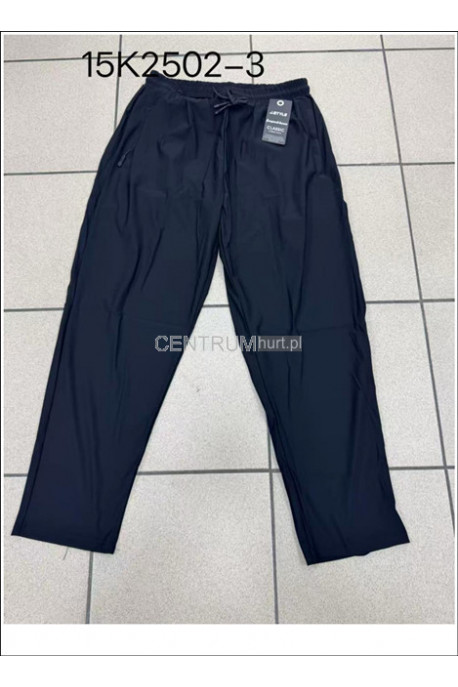 Spodnie dresowe męskie (M-2XL) 1