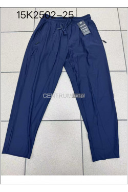 Spodnie dresowe męskie (M-2XL) 15K2502-25