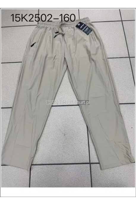 Spodnie dresowe męskie (M-2XL) 1