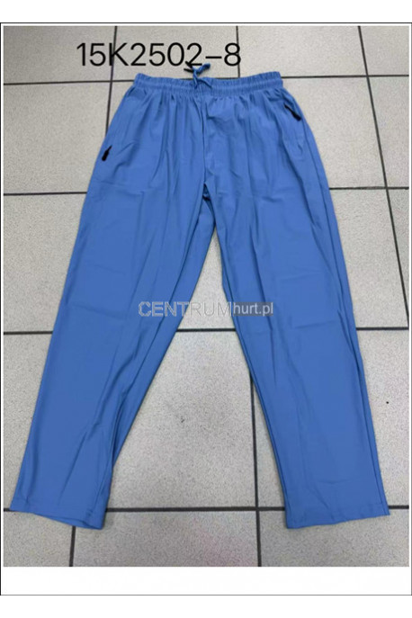 Spodnie dresowe męskie (M-2XL) 1