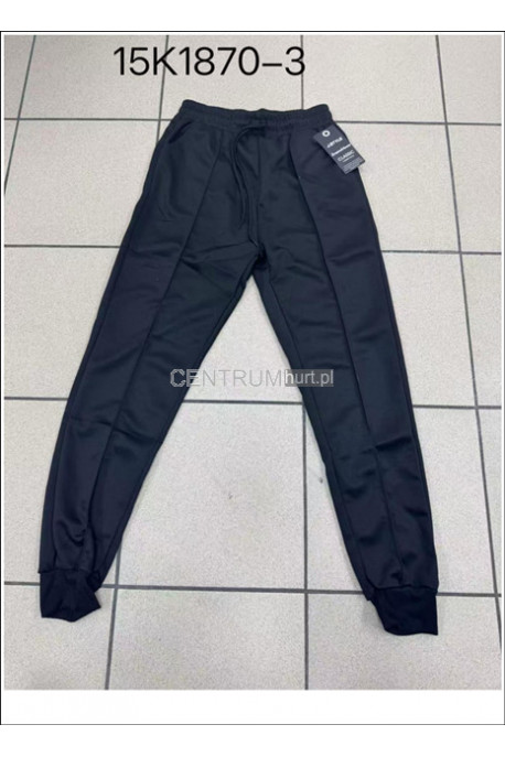 Spodnie dresowe męskie (M-2XL) 1