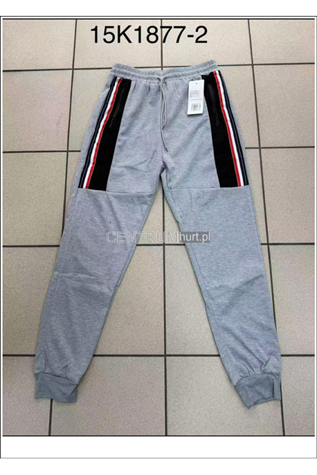 Spodnie dresowe męskie (M-2XL) 1