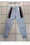 Spodnie dresowe męskie (M-2XL) 1