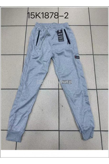 Spodnie dresowe męskie (M-2XL) 1
