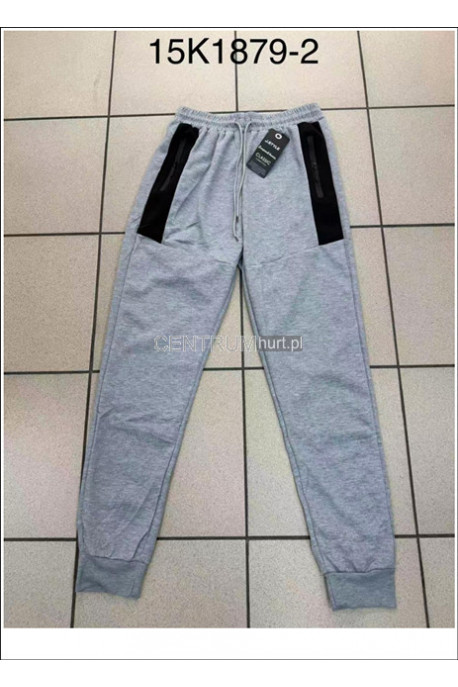 Spodnie dresowe męskie (M-2XL) 1