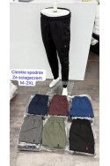 Spodnie dresowe męskie (M-2XL) 1