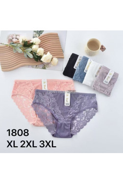 Majtki damskie (XL-3XL) 1808