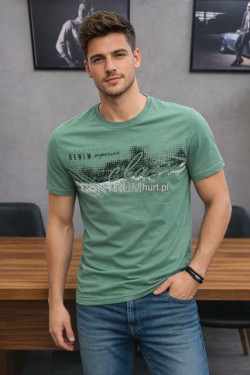 Koszulka męska (M-2XL) 2692