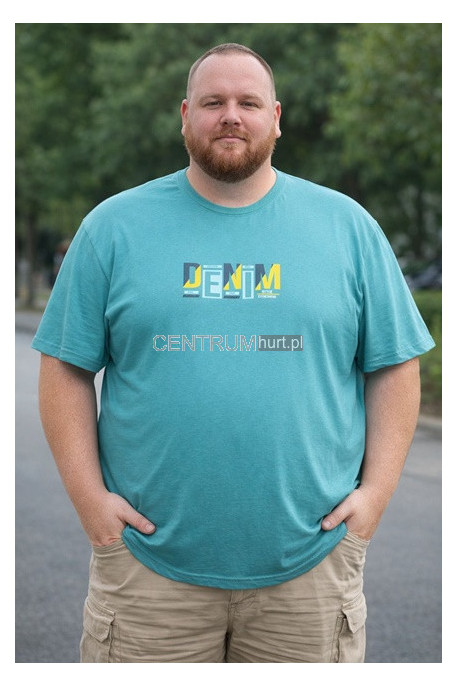 Koszulka męska (3XL-6XL) 27