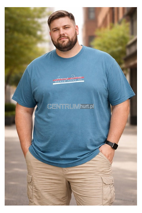 Koszulka męska (3XL-6XL) 27
