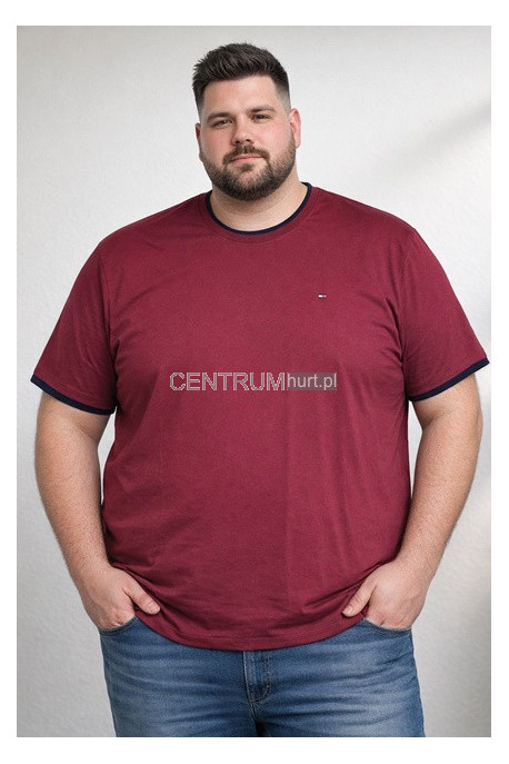 Koszulka męska (3XL-6XL) 27