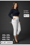 Spodnie damskie (3XL-6XL) 1