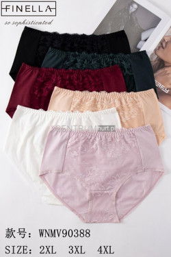 Majtki damskie (2XL-4XL) 90388