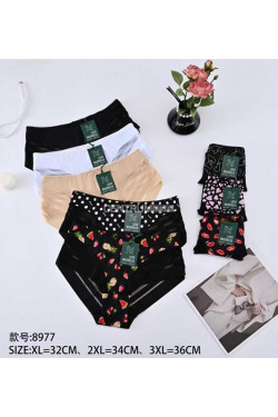 Majtki damskie (XL-3XL) 8977