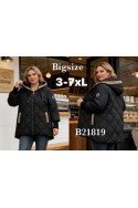 Kurtka damska przejściowa (3XL-7XL) 1