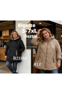 Kurtka damska przejściowa (3XL-7XL) 1