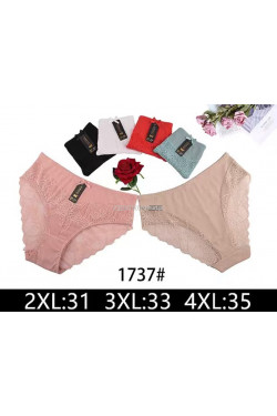 Majtki damskie (2XL-4XL) 1737