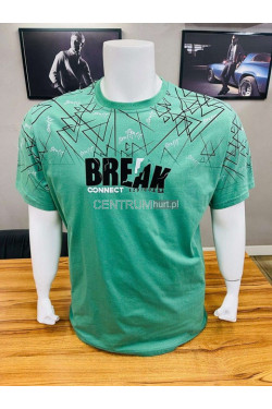 Koszulka męska (3XL-6XL) 7401
