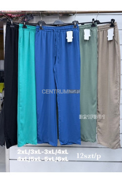 Spodnie damskie (2XL-6XL) B21FB01