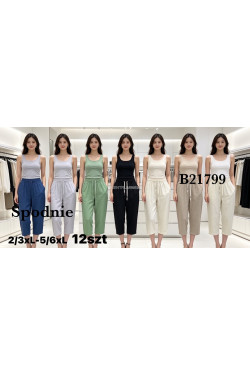 Spodnie damskie (2XL-6XL) B21799
