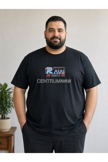 Koszulka męska (3XL-6XL) 75