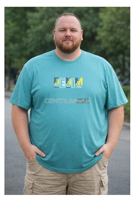Koszulka męska (3XL-6XL) 75