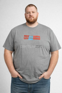 Koszulka męska (3XL-6XL) 7526