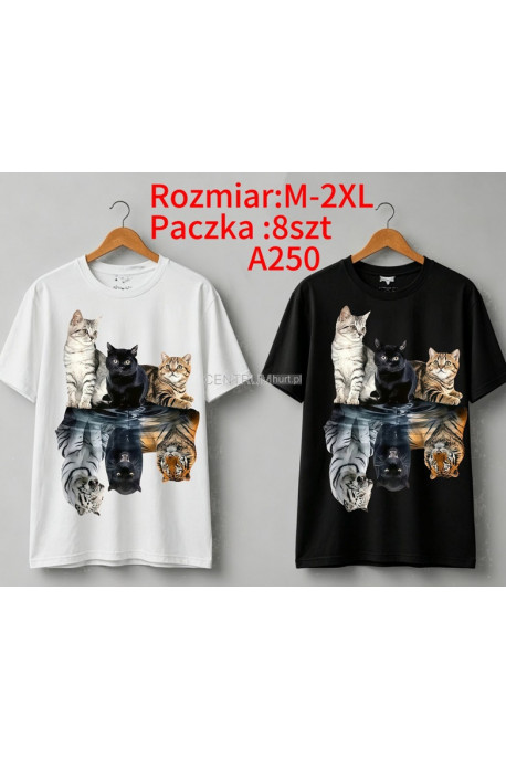 Bluzka damska (M-2XL) 84