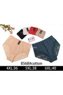 Majtki damskie (XL-3XL) 1