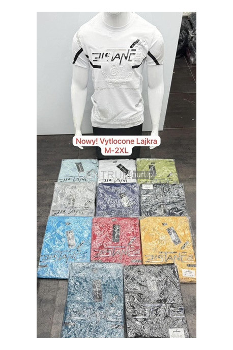 Koszulka męska (M-2XL) 34