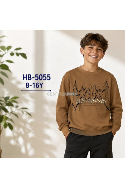 Bluza chłopięca (8-16) HB-5055