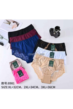 Majtki damskie (XL-3XL) 8981