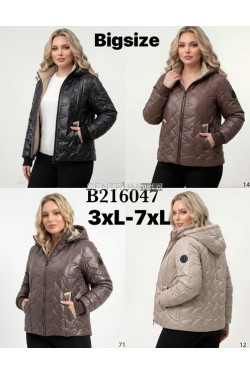 Kurtki damskie przejściowe (3XL-7XL) B216047
