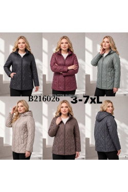 Kurtki damskie przejściowe (3XL-7XL) B216026