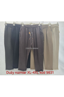 Spodnie damskie Tureckie (XL-4XL) 9831