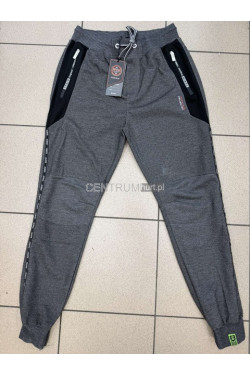 Spodnie dresowe męskie (M-2XL) 4717