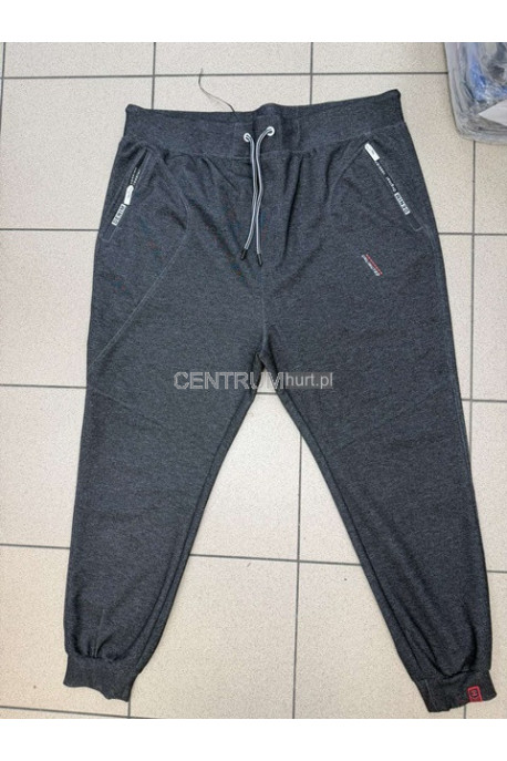 Spodnie dresowe męskie (M-2XL) 47