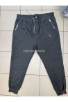 Spodnie dresowe męskie (M-2XL) 47