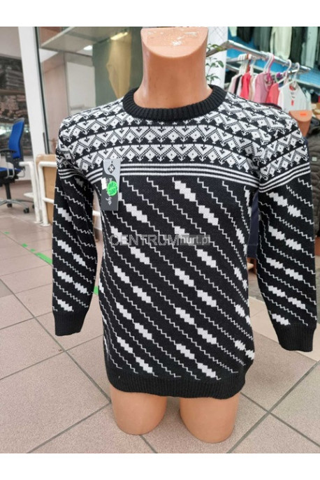 Bluza męska (M-2XL) 44