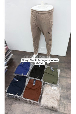 Spodnie dresowe męskie (M-2XL) C21G100