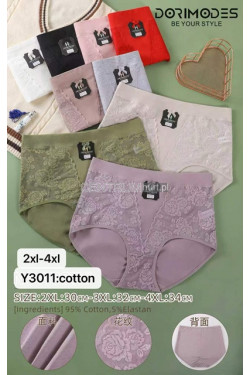 Majtki damskie (2XL-4XL) Y3011