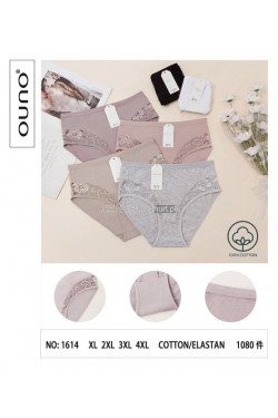 Majtki damskie (XL-4XL) 1614