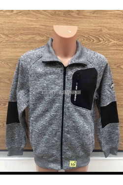 Bluza męska (M-2XL) 6423