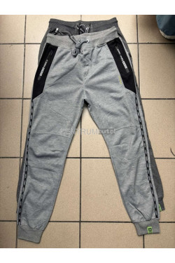 Spodnie dresowe męskie (M-2XL) 6445