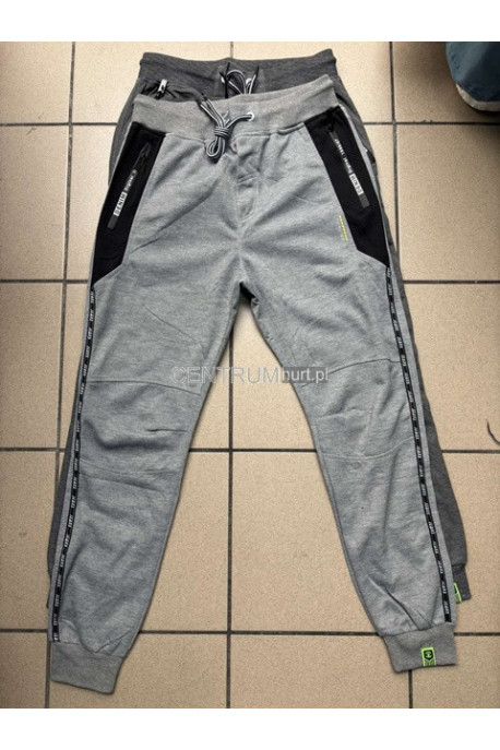 Spodnie dresowe męskie (M-2XL) 64