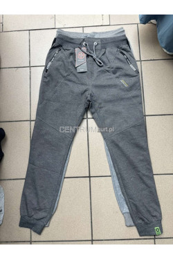 Spodnie dresowe męskie (M-2XL) 6446