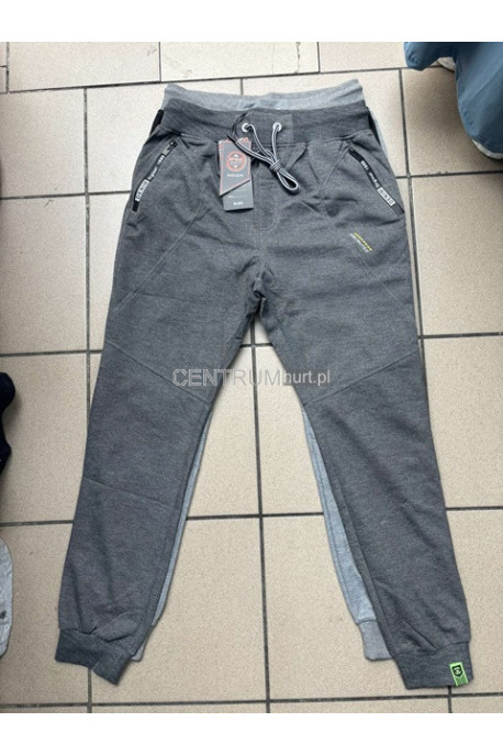 Spodnie dresowe męskie (M-2XL) 64