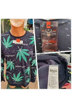 Bluza męska (2XL-5XL) 6717