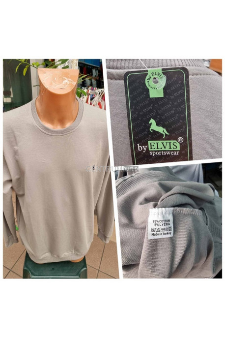 Bluza męska (2XL-5XL) 67