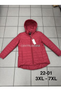 Kurtki damskie przejściowe (2XL-7XL) 1